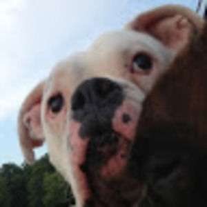 Meet your Posher, Penny